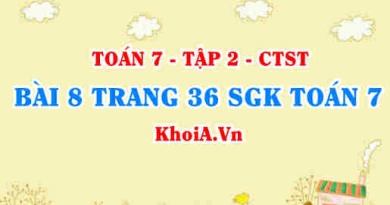 Bài 8 trang 36 SGK Toán 7 tập 2 Chân trời sáng tạo